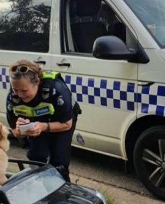 Buddy o cãozinho é abordado por policial australiana
