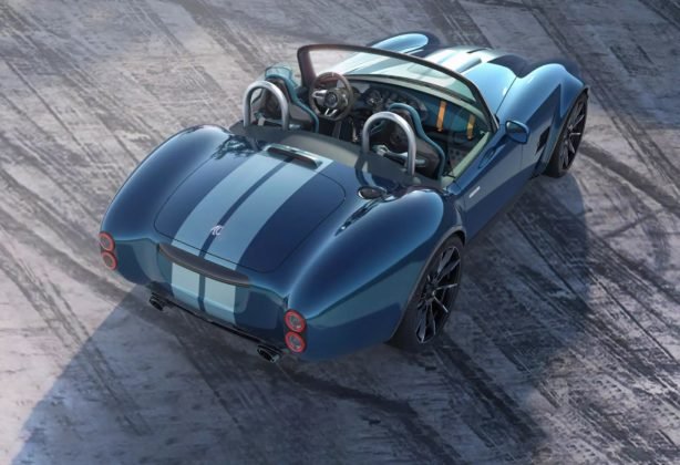 accobra4-614x420.jpg