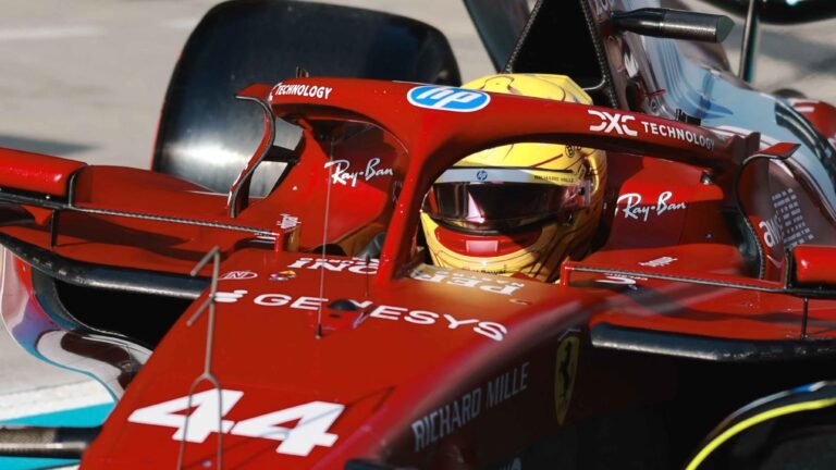 Lewis Hamilton A F1日本GP 2025 チャリティのぼり Lewis Hamilton A F1日本GP 2025 チャリティのぼり Lewis