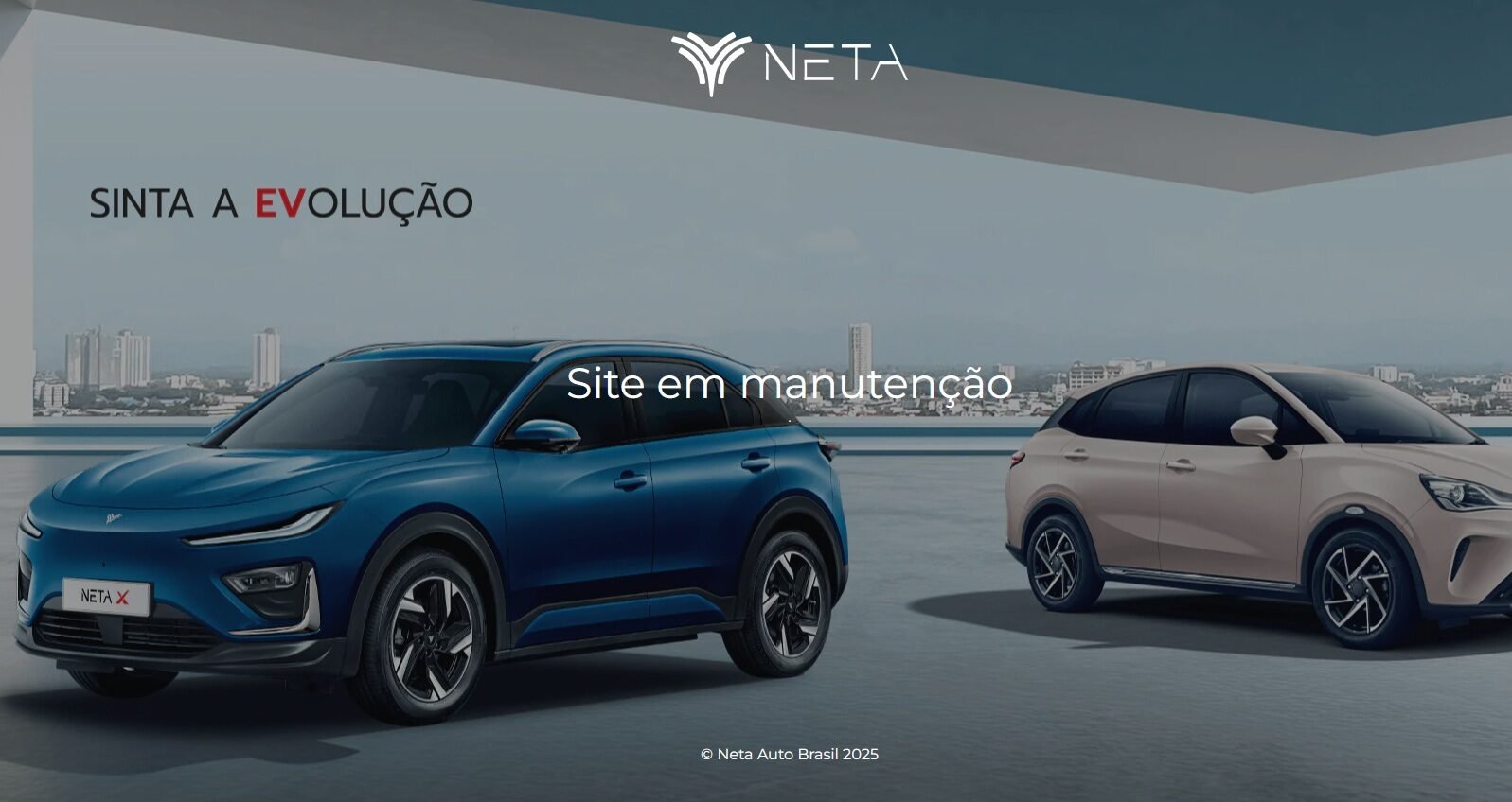 Site e Instagram da Neta ficam fora do ar no Brasil e reacende questão de crise