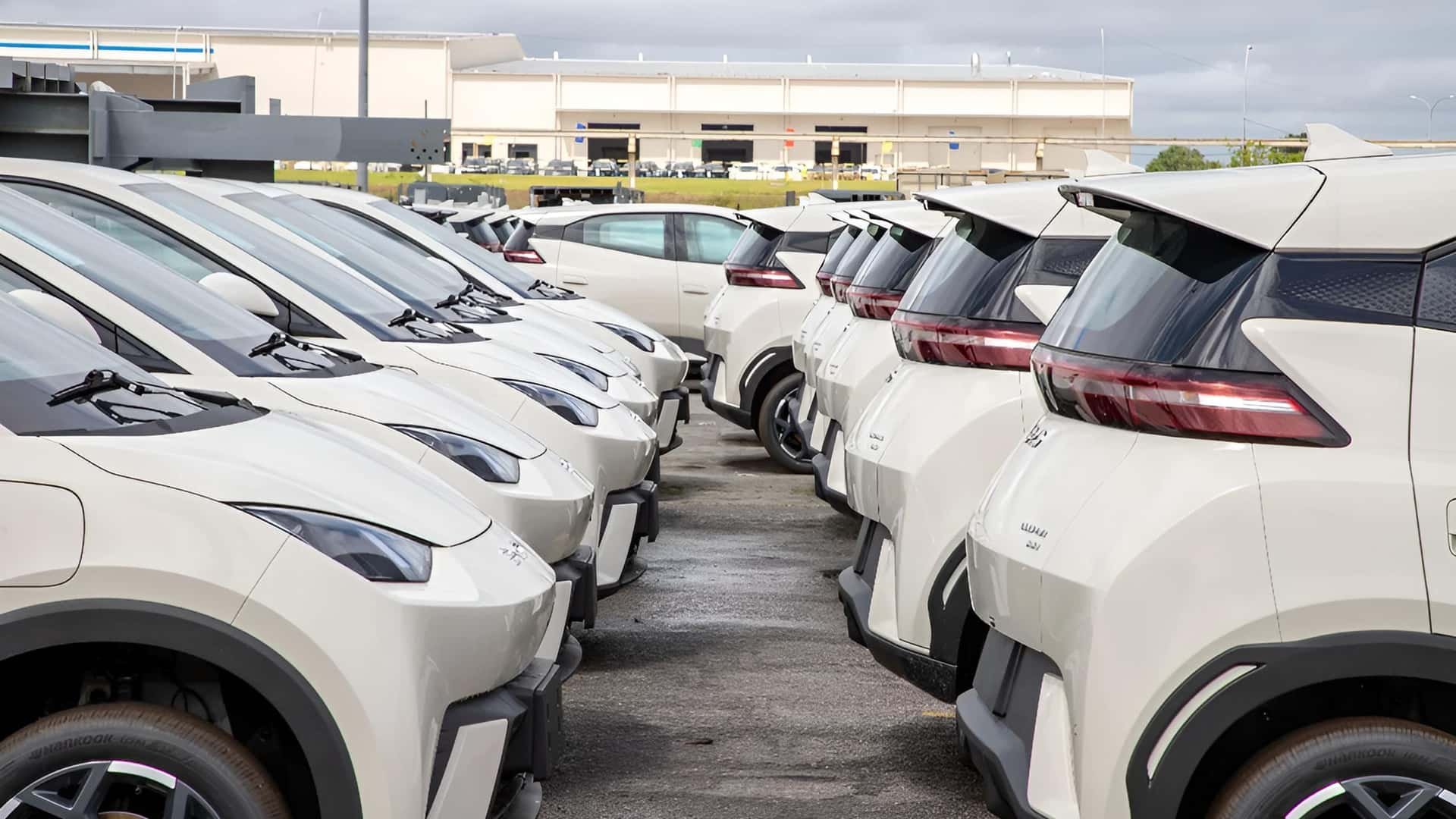 BYD Dolphin Mini ‘brasileiro’ já está nas concessionárias; veja novidades